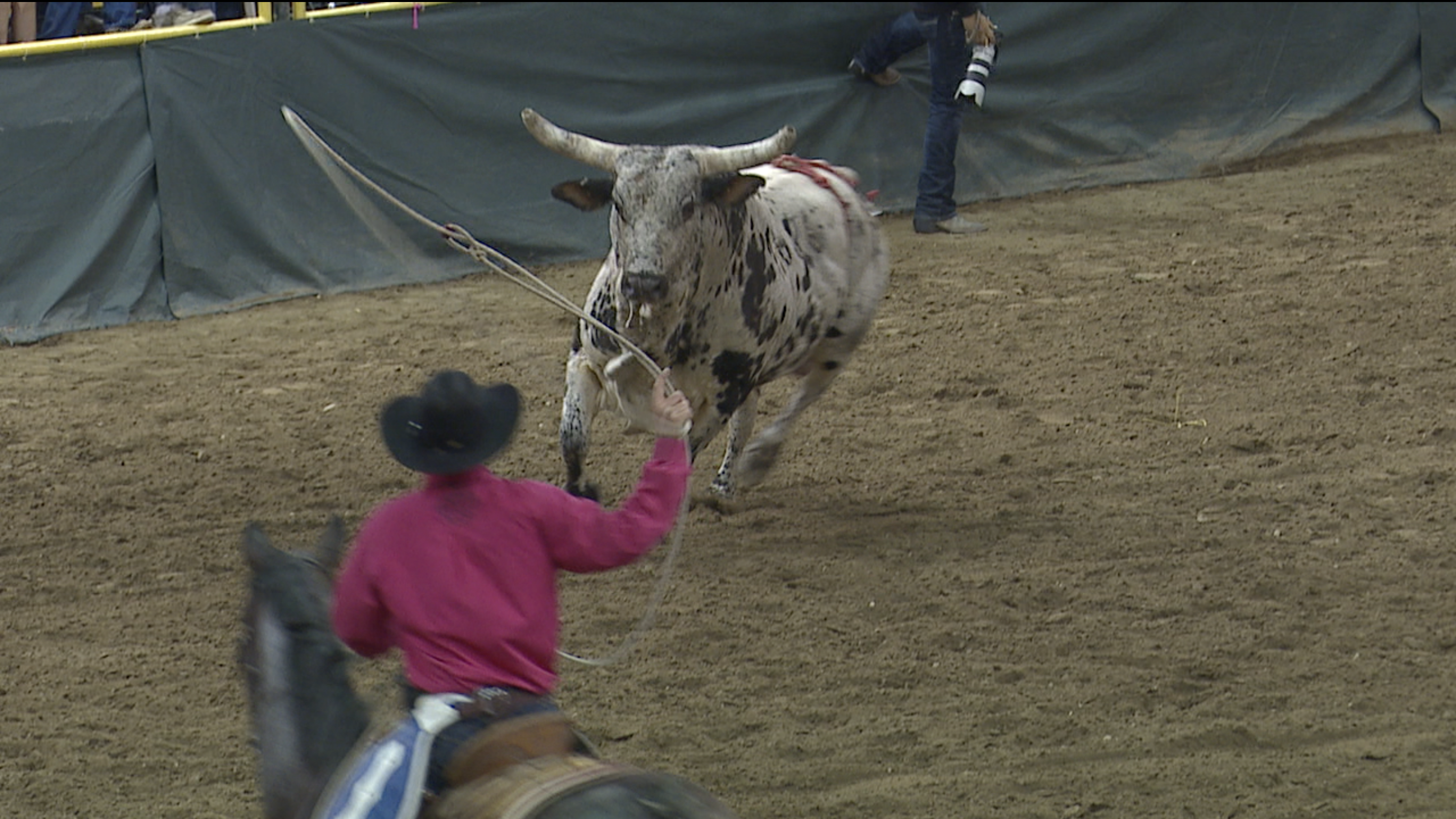 Snake River Stampede leans on volunteer efforts - Vimarsana News